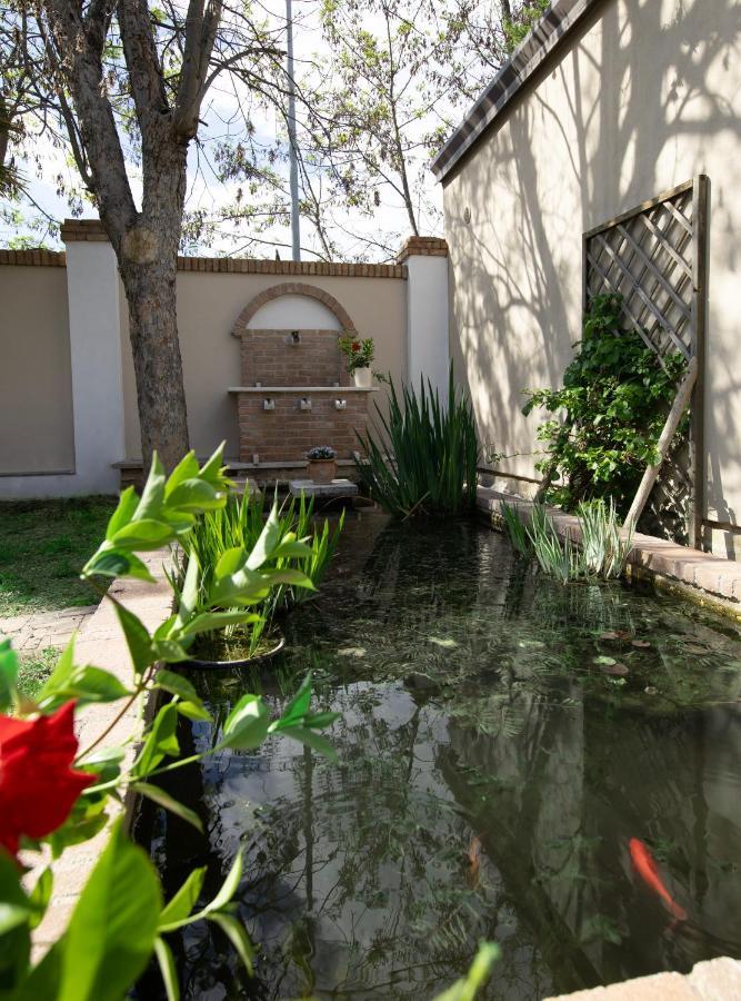 Villa Luce Assisi Rooms & Suites Экстерьер фото